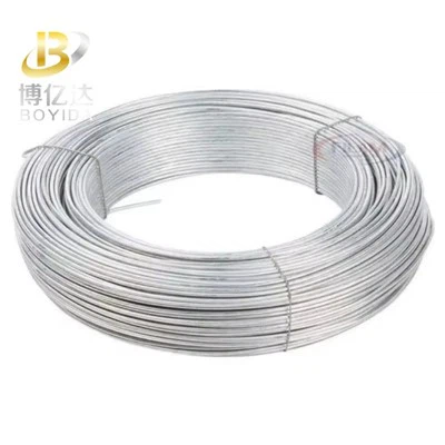 2.5mm 아연 도금 강철 와이어